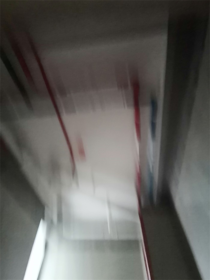 IMG_20200301_092928.jpg