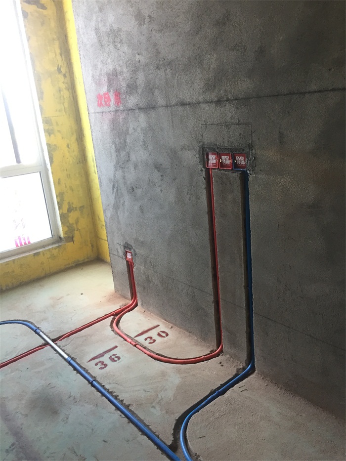 IMG_4954.JPG