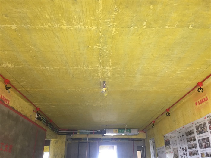 IMG_4969.JPG
