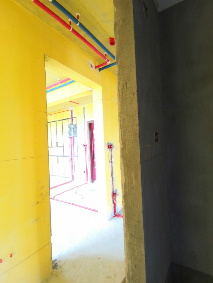 IMG_20190609_112642.jpg