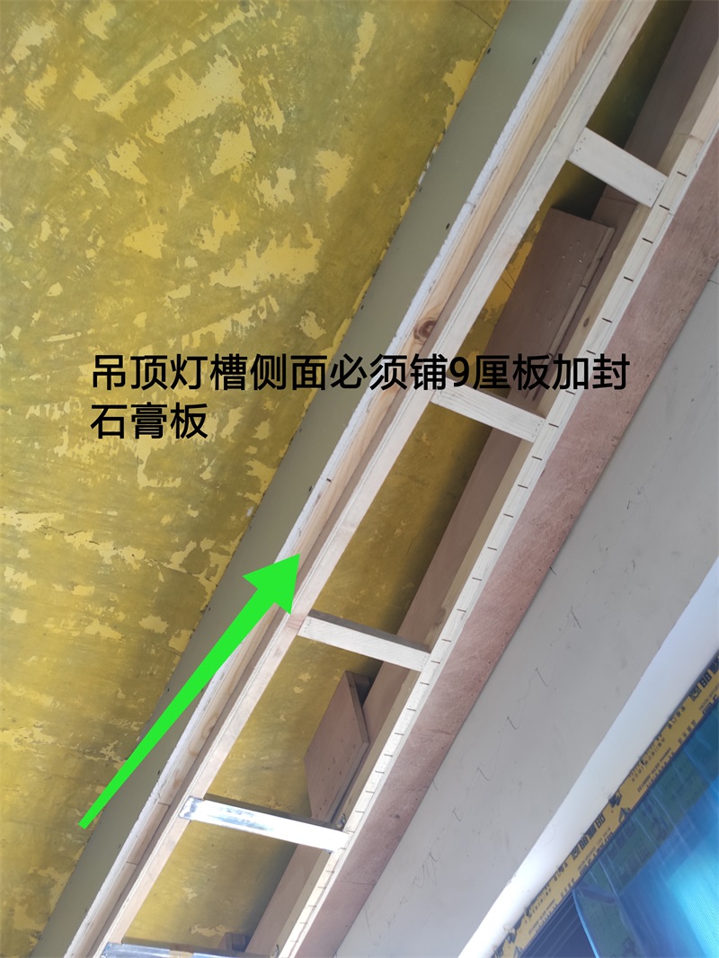 IMG_20190815_092327.jpg