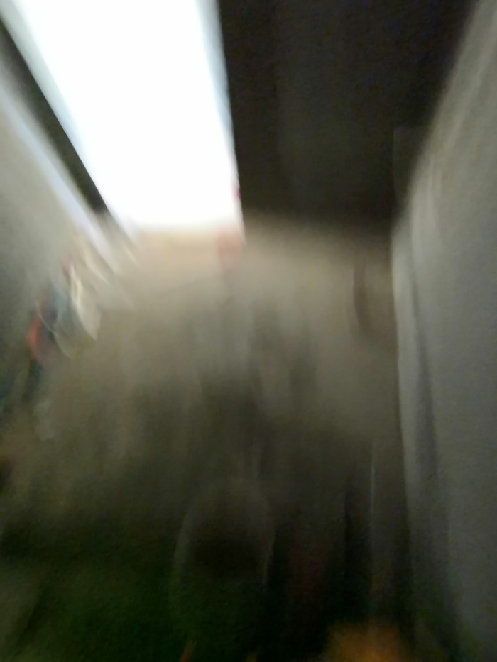 IMG_20190609_110012.jpg