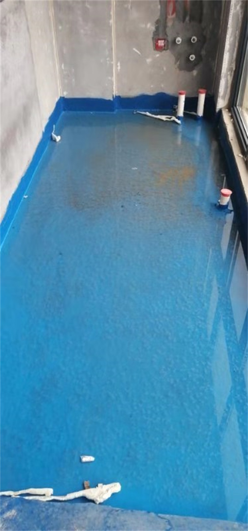 mmexport1583373177090.jpg