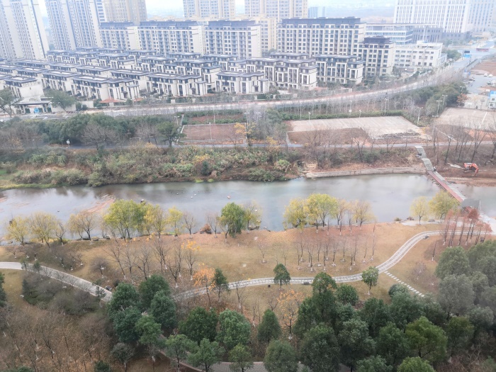 IMG_20191219_094421.jpg
