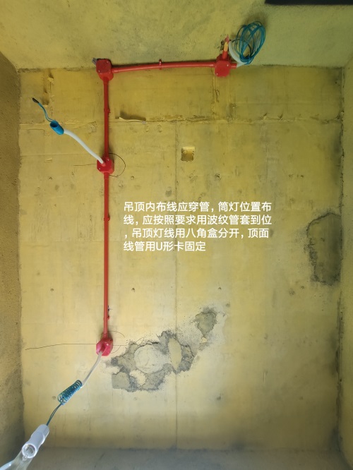 IMG_20190813_095919.jpg