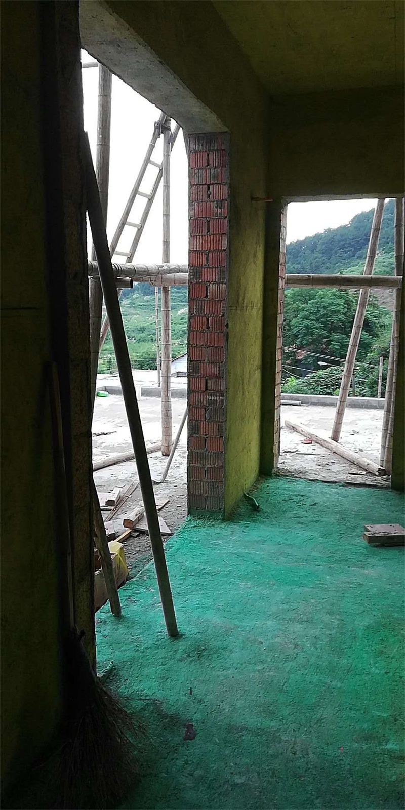 mmexport1575709801130.jpg
