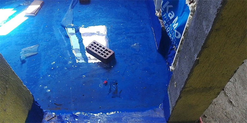 mmexport1575710304835.jpg