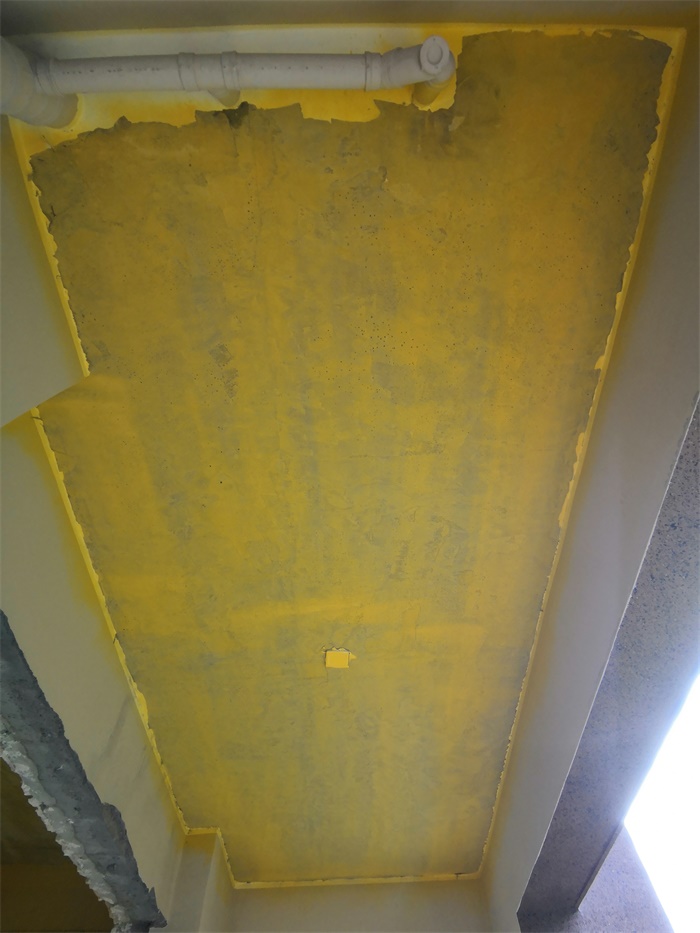IMG_20190610_091958.jpg