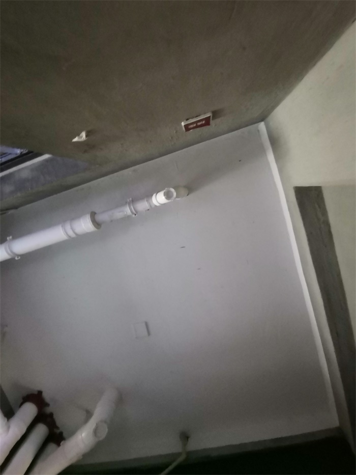 IMG_20190610_102130.jpg