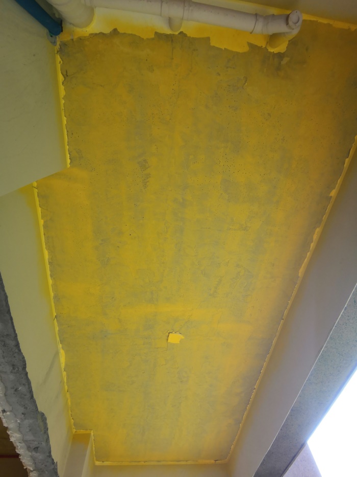 IMG_20190627_083954.jpg