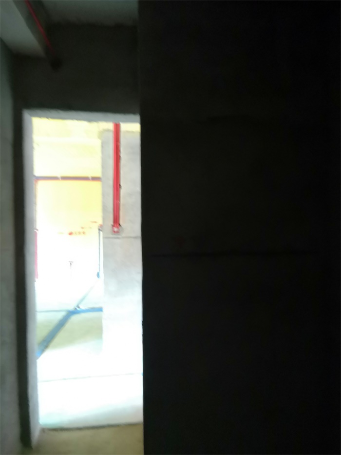 IMG_20190702_104735.jpg