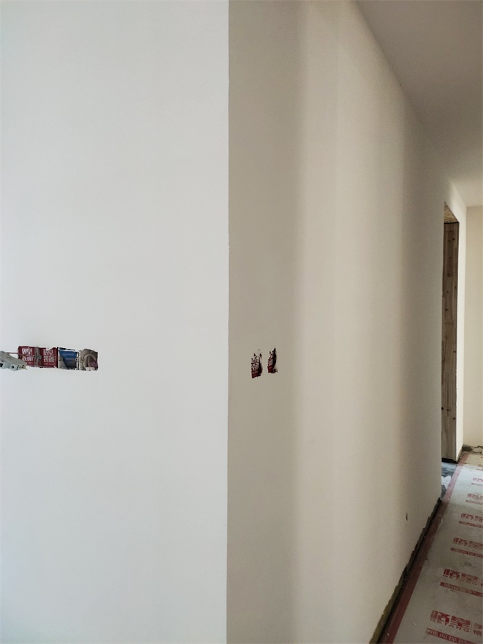 IMG_20191121_102950.jpg