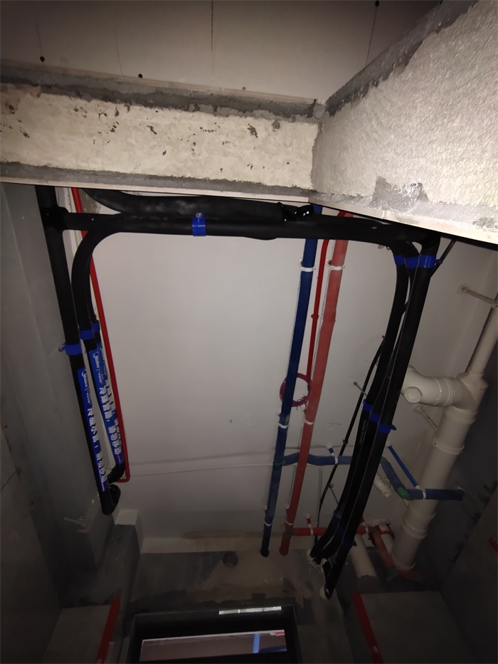 IMG_20200112_160052.jpg