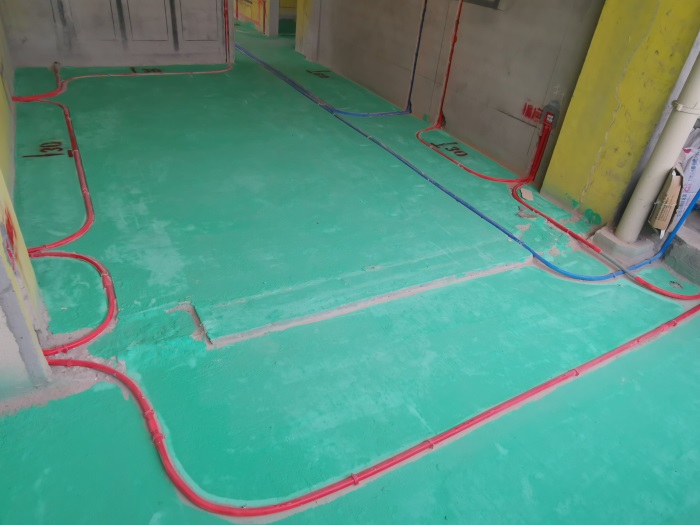 IMG_20200322_153835.jpg