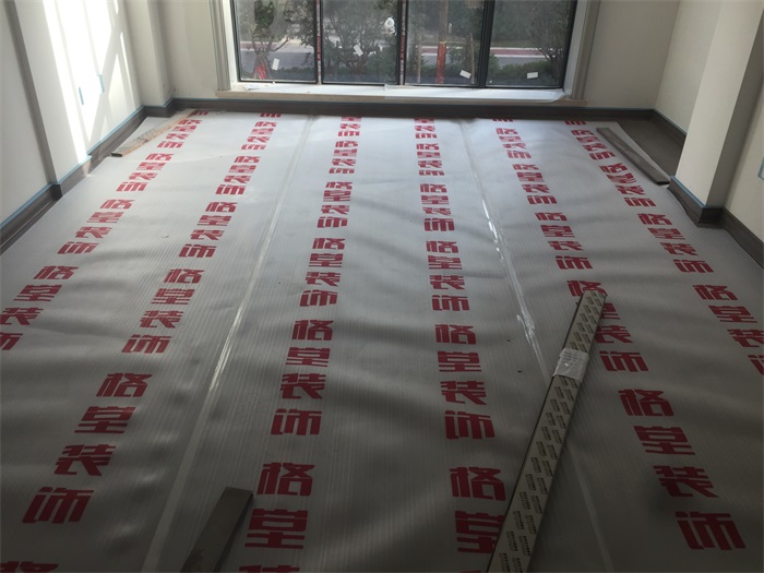 IMG_8089.JPG