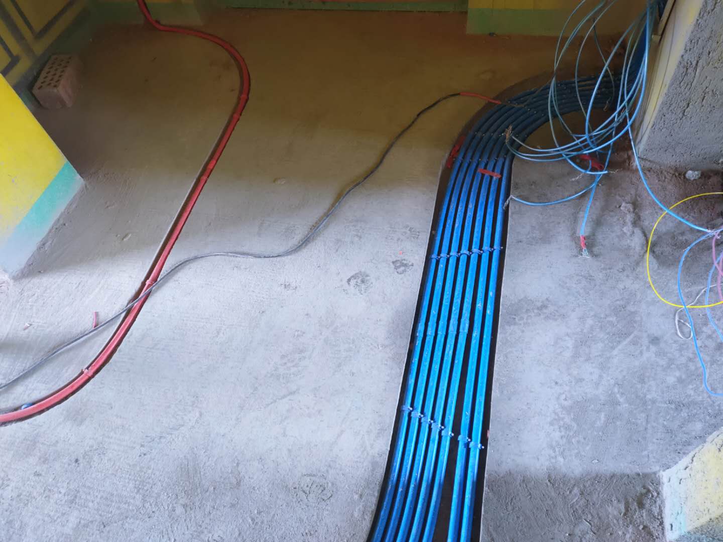 9d3a005e940074a2ba1f96a705505b1.jpg