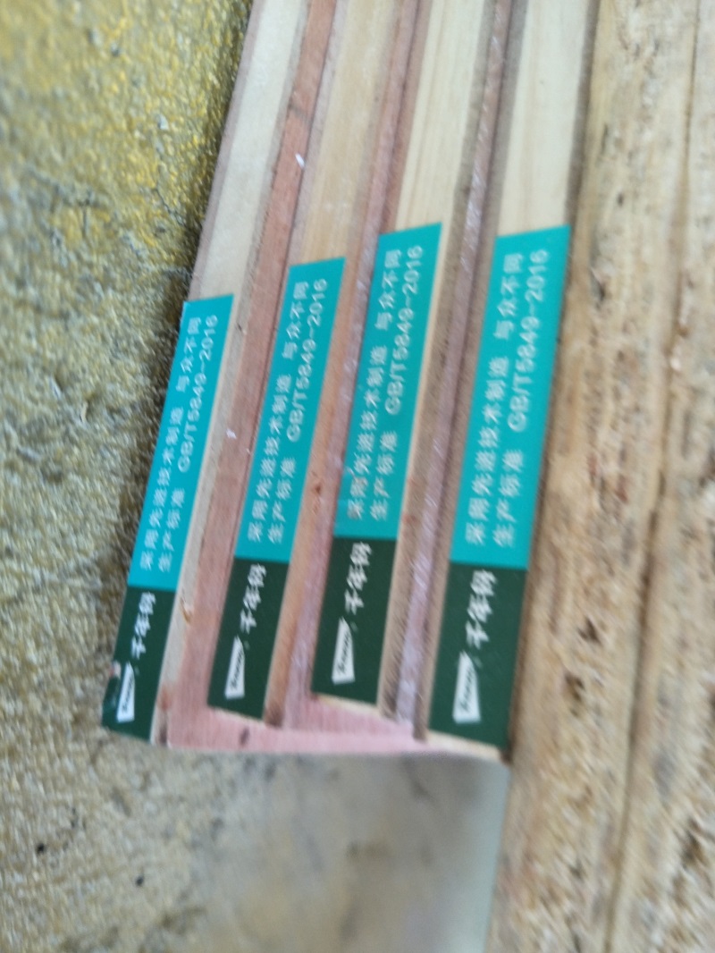 IMG20191015081637.jpg