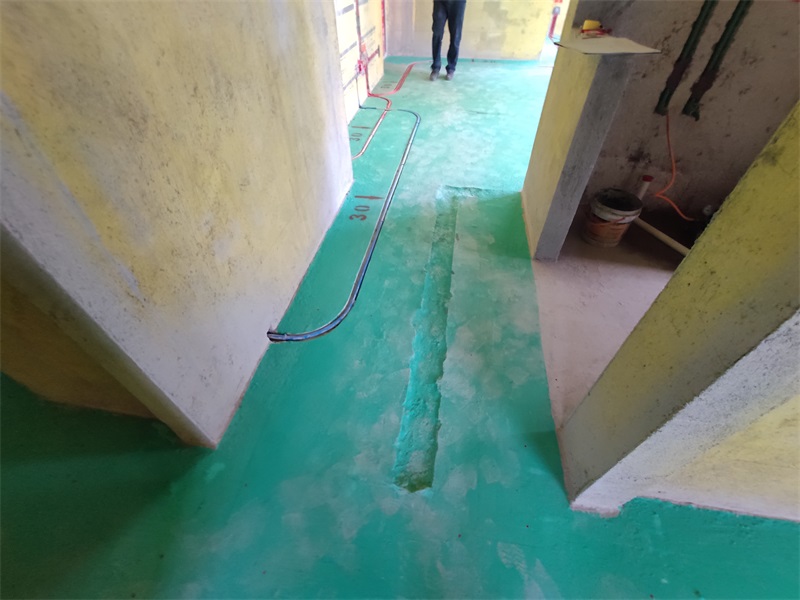 IMG_20200415_144846.jpg