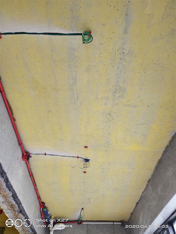 IMG_20200418_150309.jpg