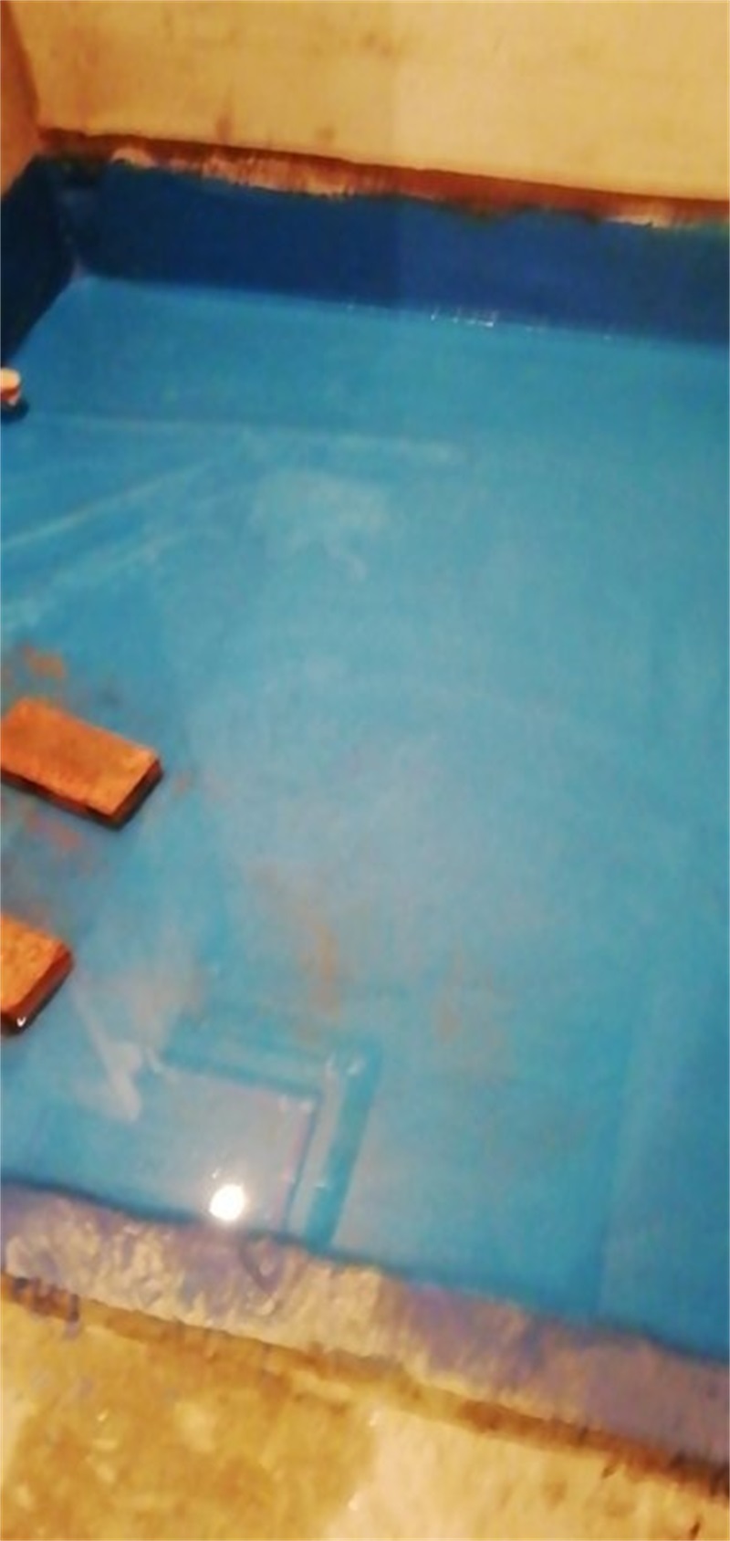 mmexport1587266620890.jpg