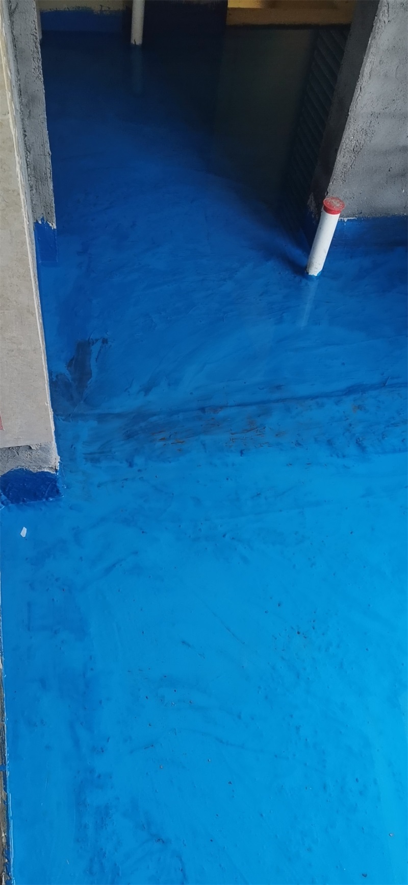 mmexport1587981589885.jpg