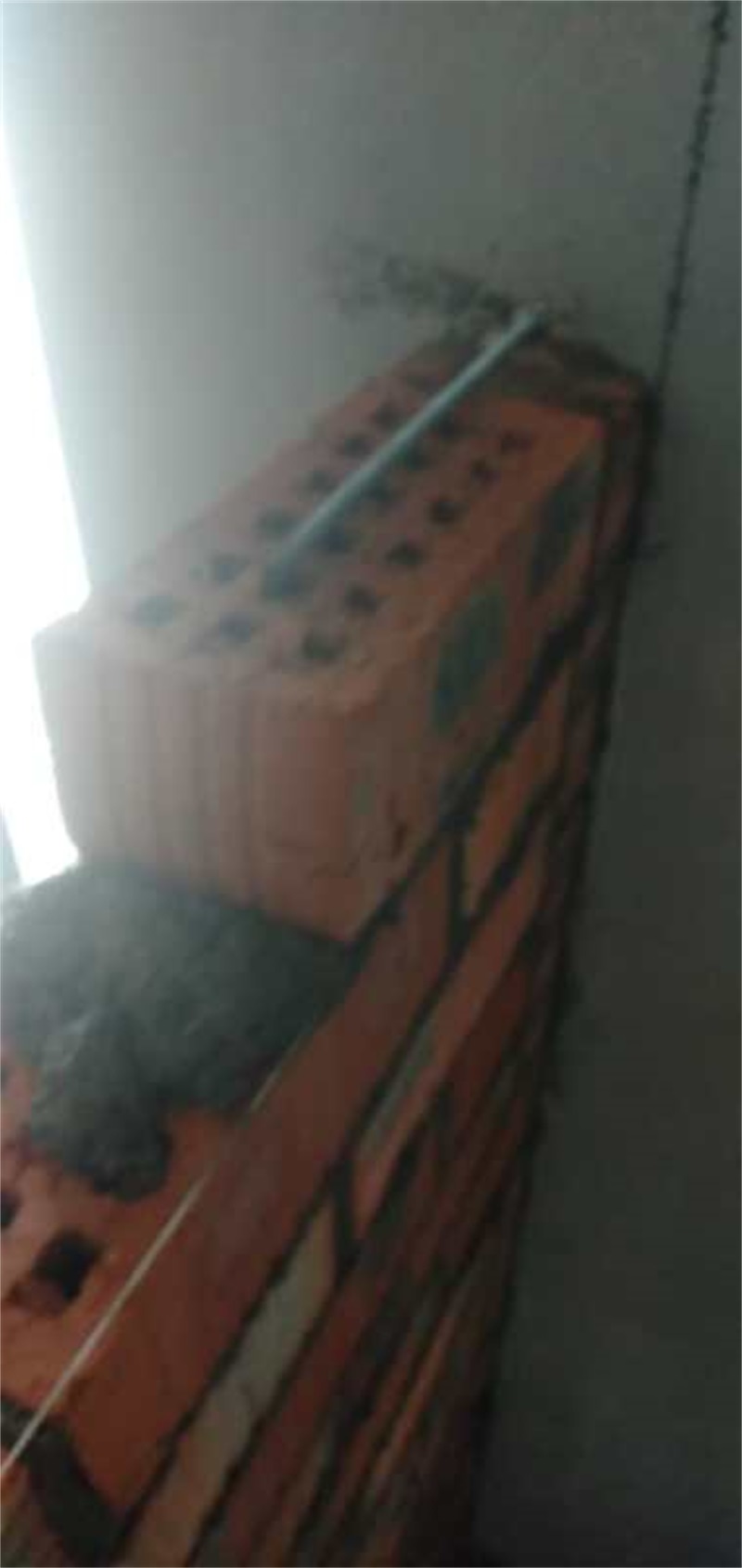 mmexport1587981442225.jpg