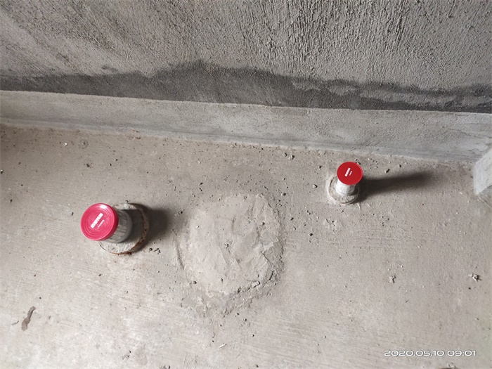 IMG_20200510_090204.jpg