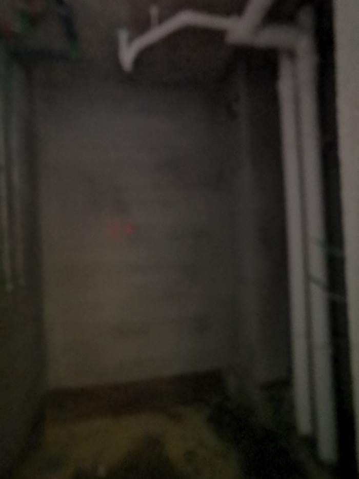 IMG_20200508_143806.jpg