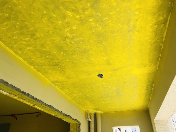 2020_05_19_10_17_IMG_4546.jpg
