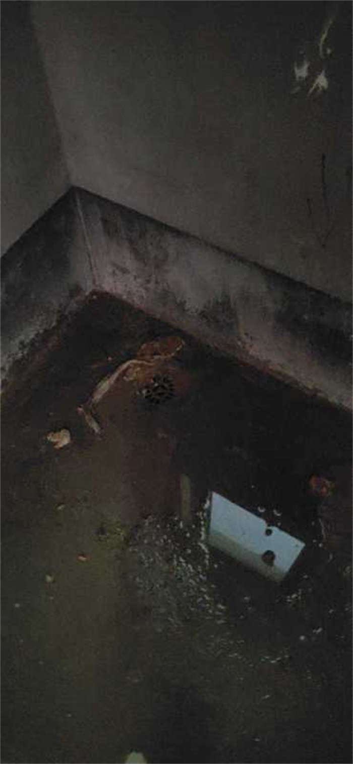 ΢��ͼƬ_202005201125136.jpg
