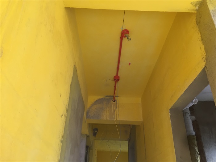 IMG_4203.JPG