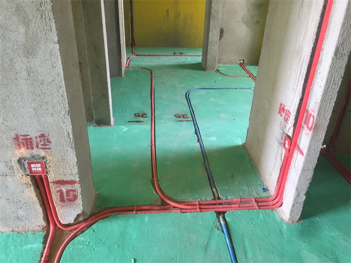 IMG_6491.JPG