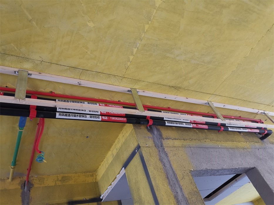 IMG_20200526_100903.jpg