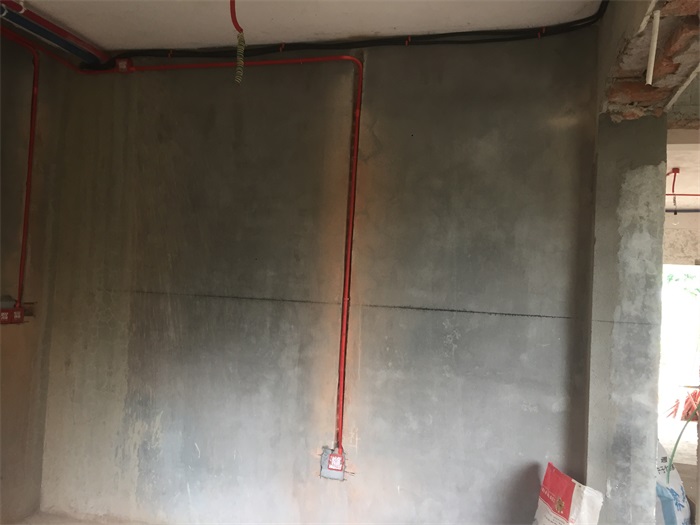 IMG_5201.JPG