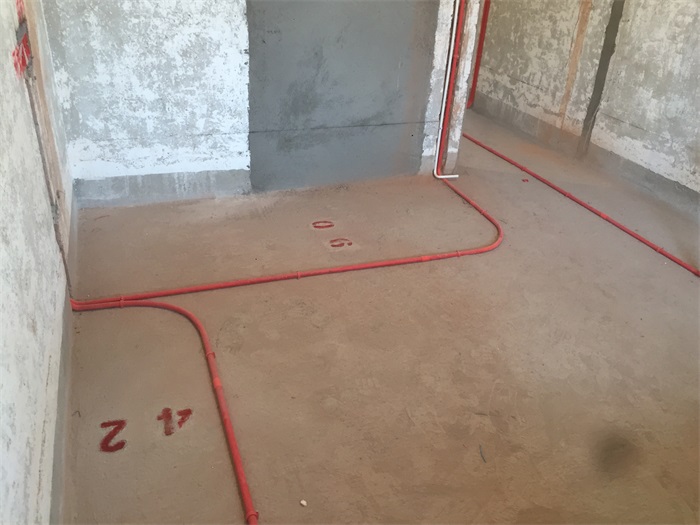 IMG_7335.JPG