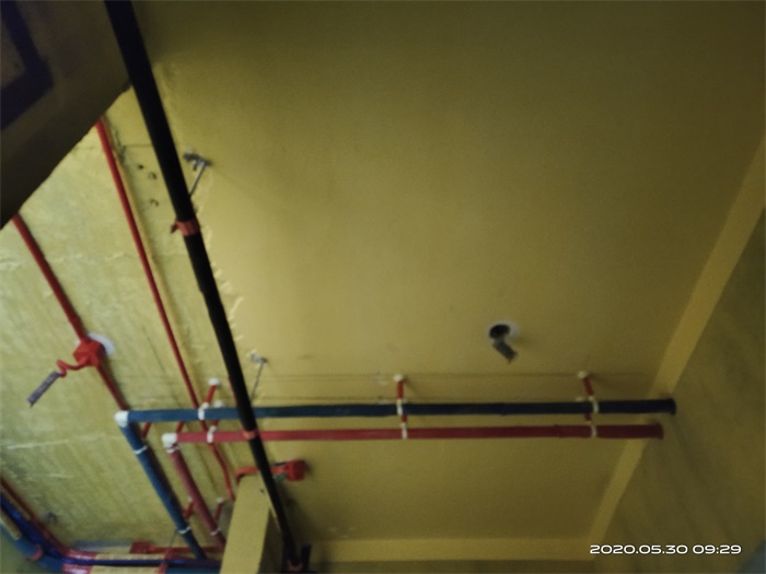 IMG_20200530_092916.jpg