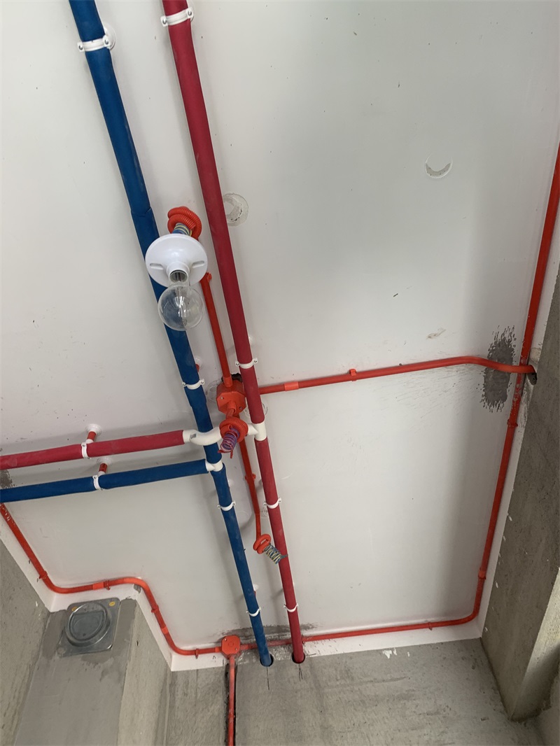 IMG_3542.JPG