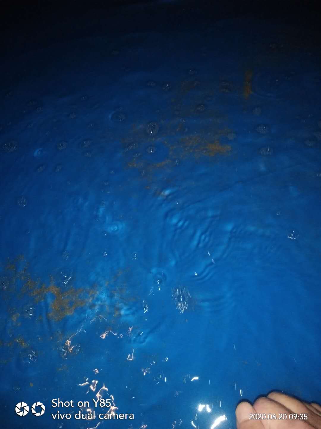 d4c0fc353b1abbbf467cf01bd06ceff.jpg