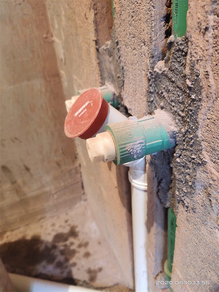 IMG_20200610_135516.jpg