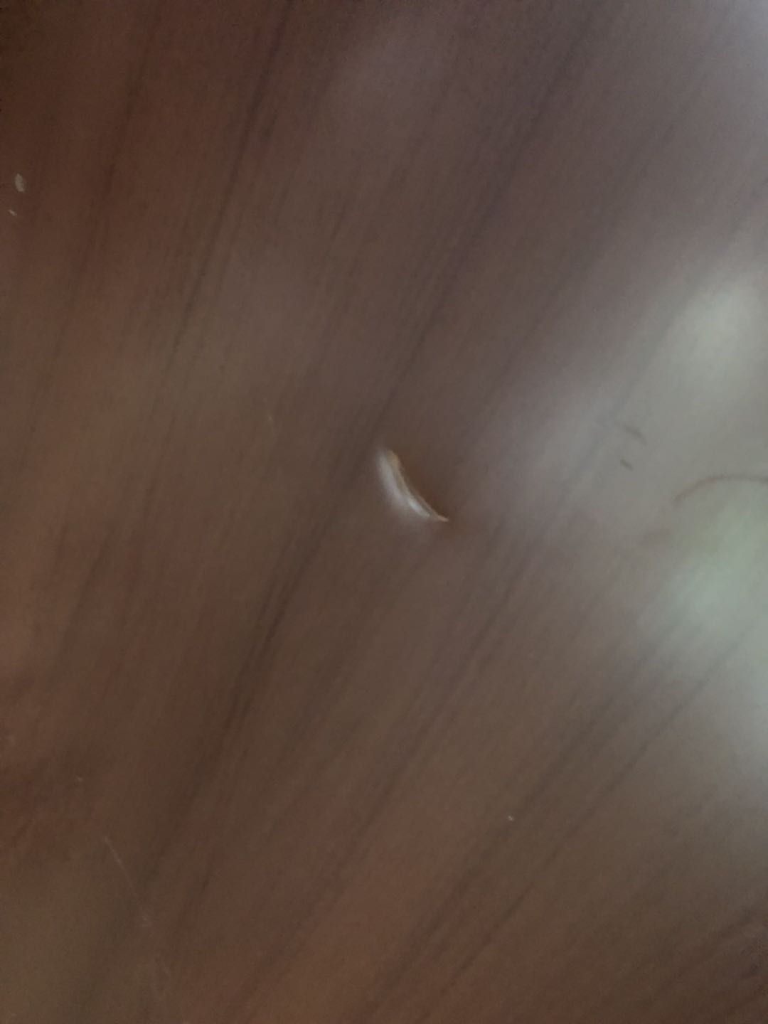 ΢��ͼƬ_202006231431323.jpg