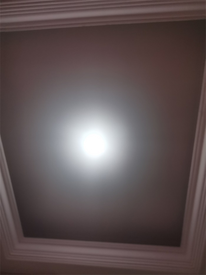 IMG_20200626_114604.jpg