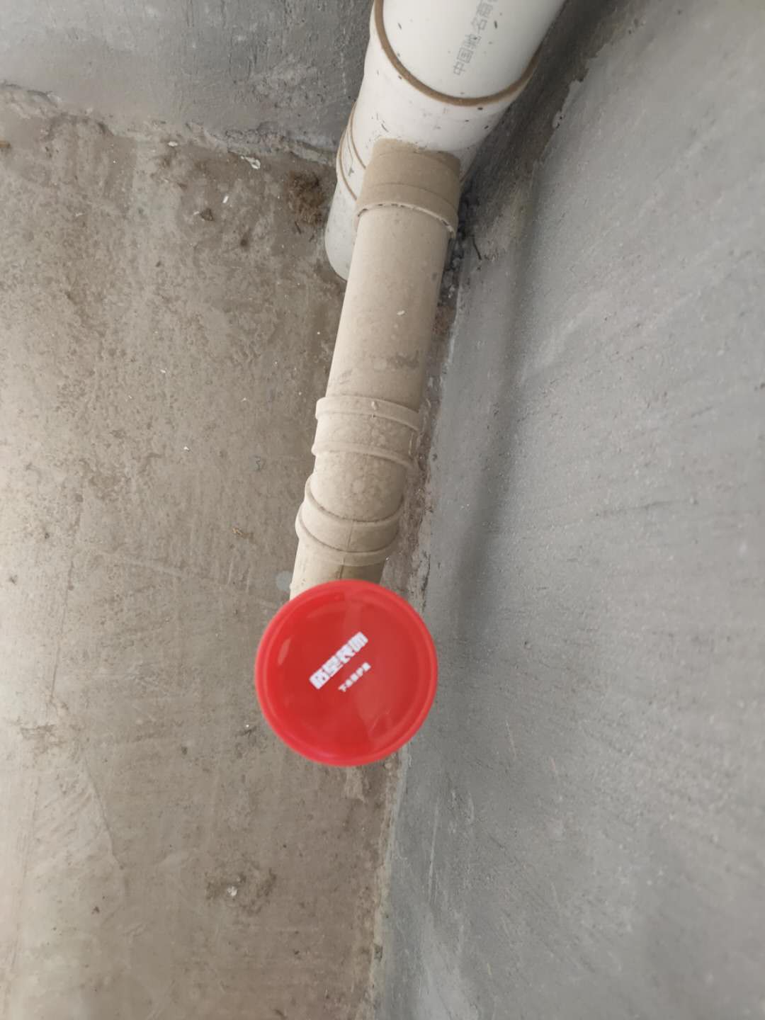 b11dbfe1e6ef6da947da211e7f695e4.jpg