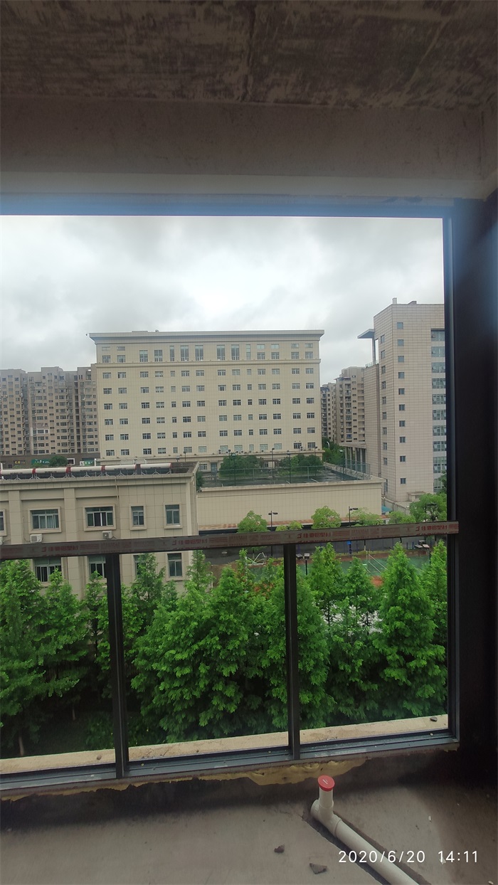 IMG_20200620_141154.jpg