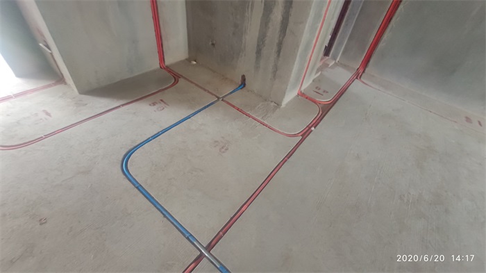 IMG_20200620_141753.jpg