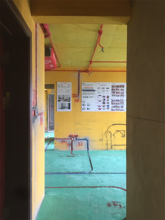 IMG_5054.JPG