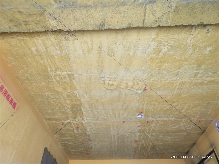 IMG_20200702_143521.jpg