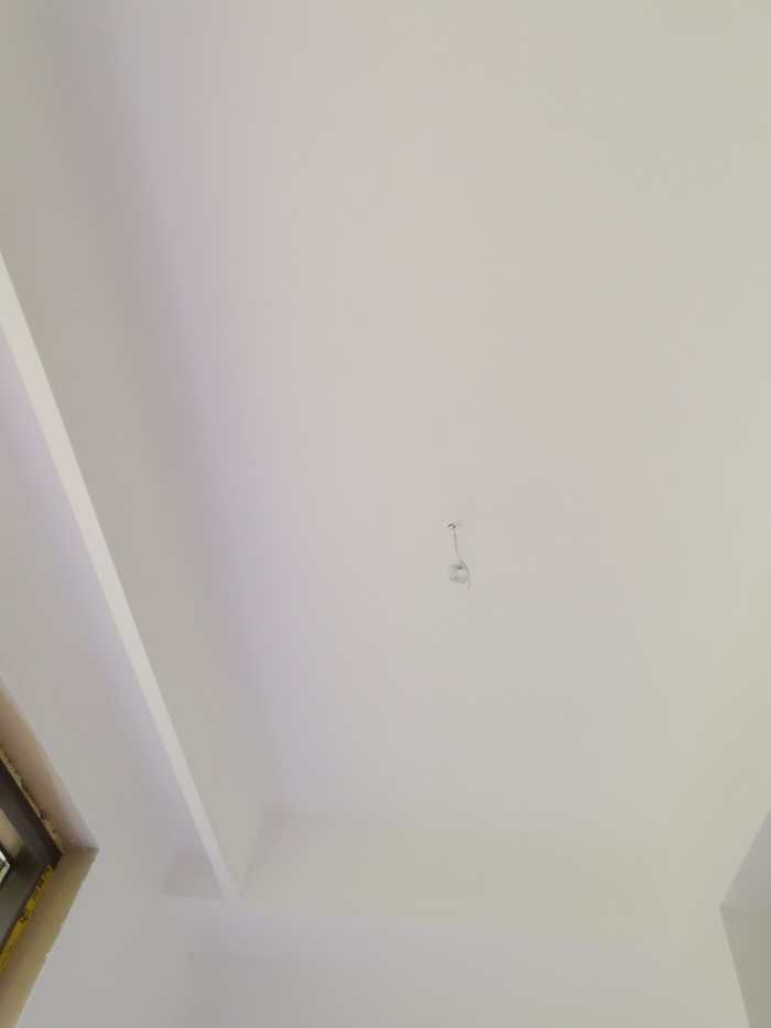 IMG_20200728_095216.jpg