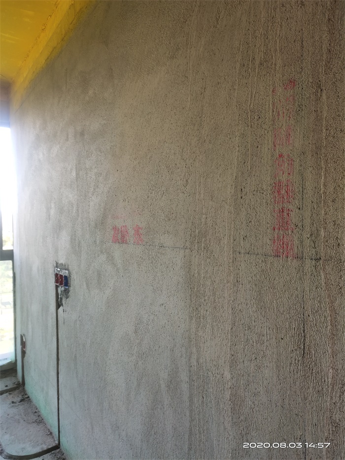 IMG_20200803_145735.jpg