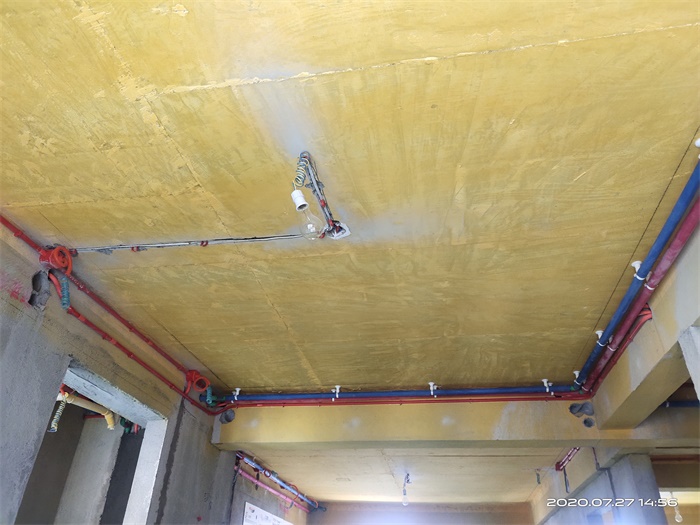 IMG_20200727_145632.jpg