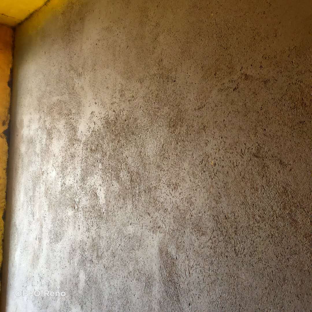 ΢��ͼƬ_20200810172639.jpg